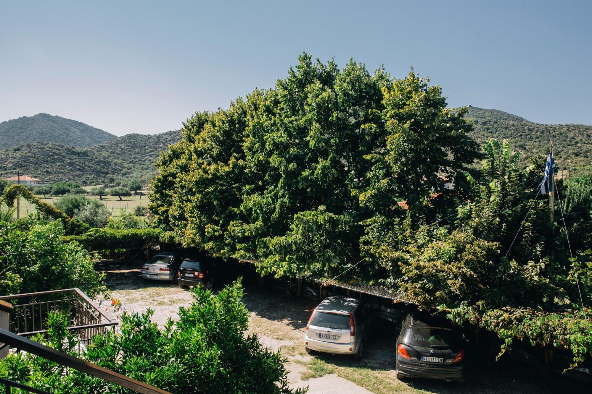 KATIA Studios Sykia Chalkidikis Esterno foto