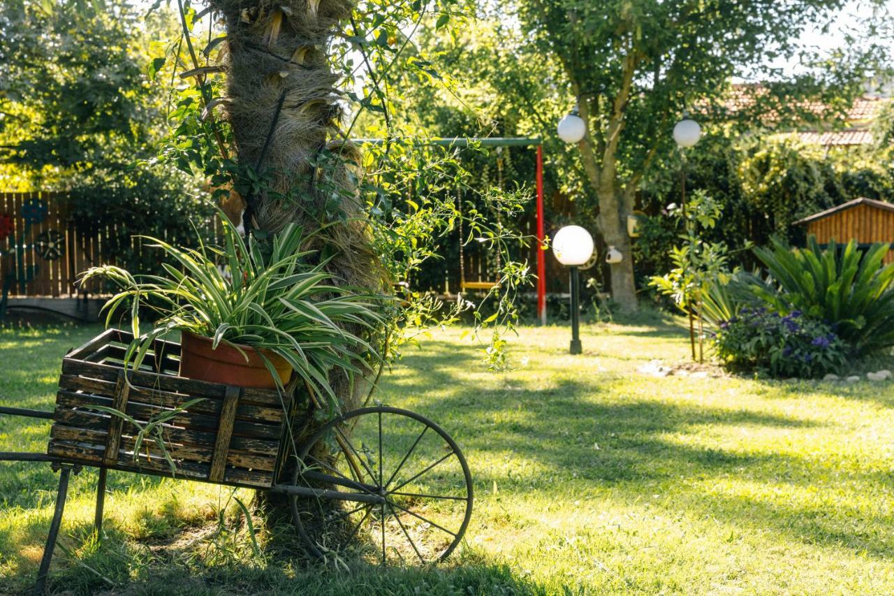 KATIA Studios Sykia Chalkidikis Esterno foto